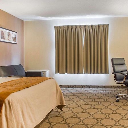 Comfort Inn Brantford Eksteriør billede